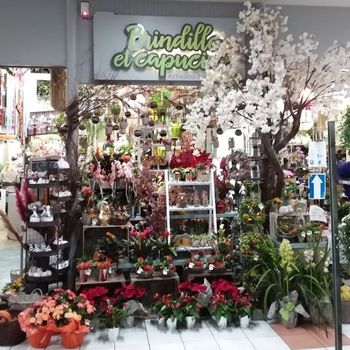 Boutique BRINDILLE ET CAPUCINE